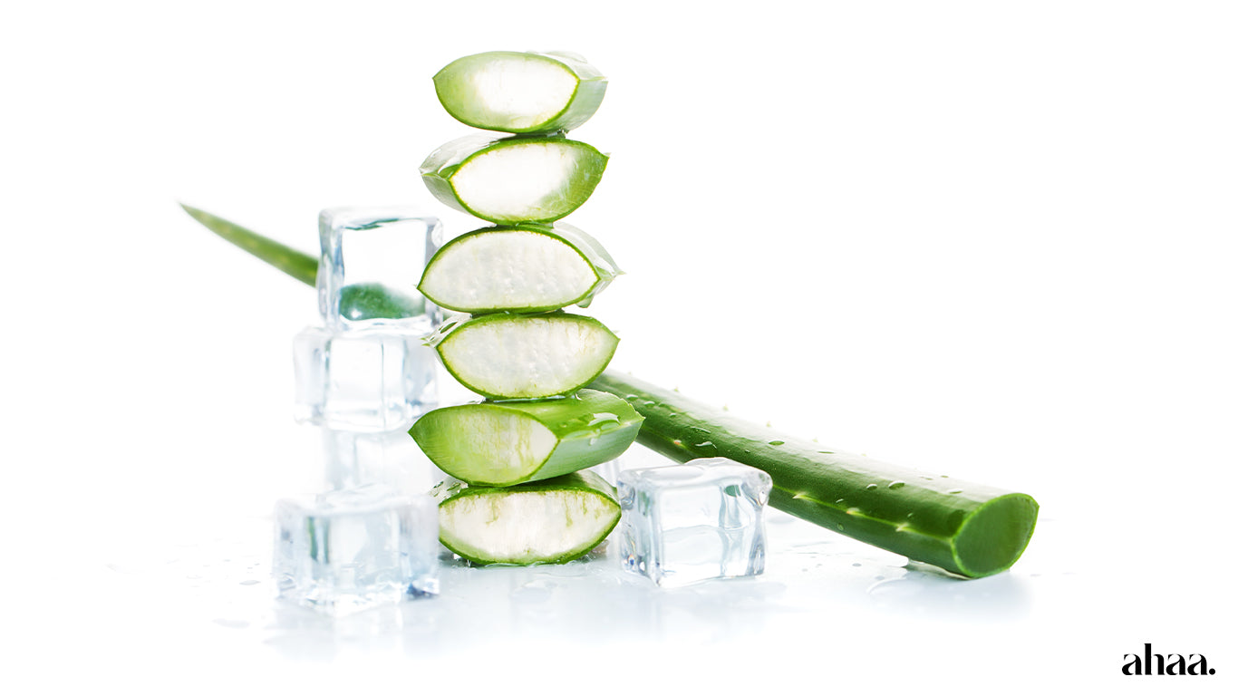 Does Aloe Vera Help Acne?